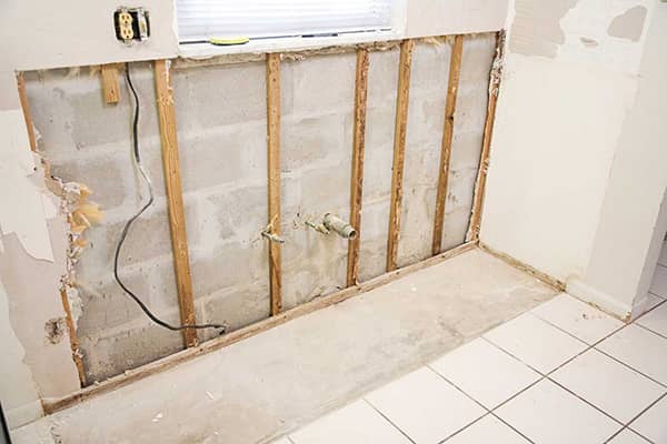 Commercial Mold Prevention Service