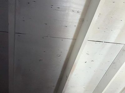 Commercial Mold In Wood Removal