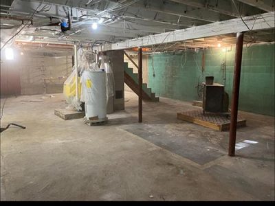 Mold Removal Cleanup